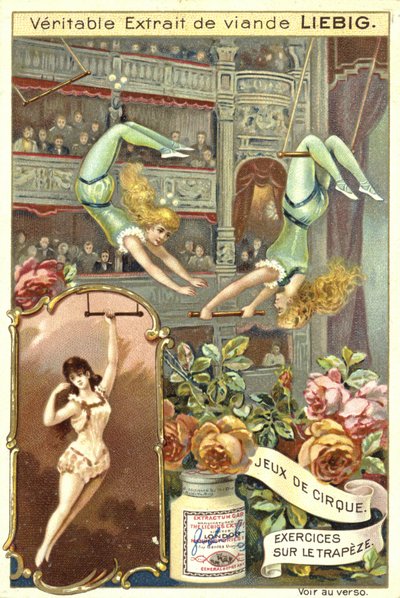 Artisti del trapezio da European School